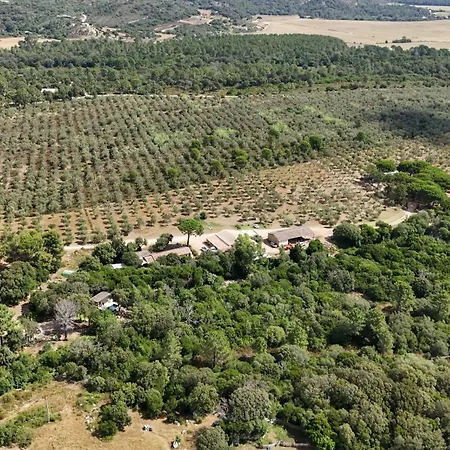 Σαλέ Alivi Πόρτο Βέκιο