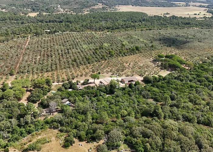 Σαλέ Alivi Πόρτο Βέκιο